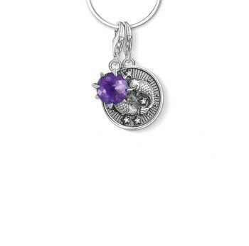 De-Stress Debt 12 Constellation Star Zodiac Sign Months Birthstone 925 Sterling Silver Necklace